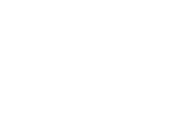 mision