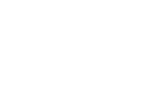 vision